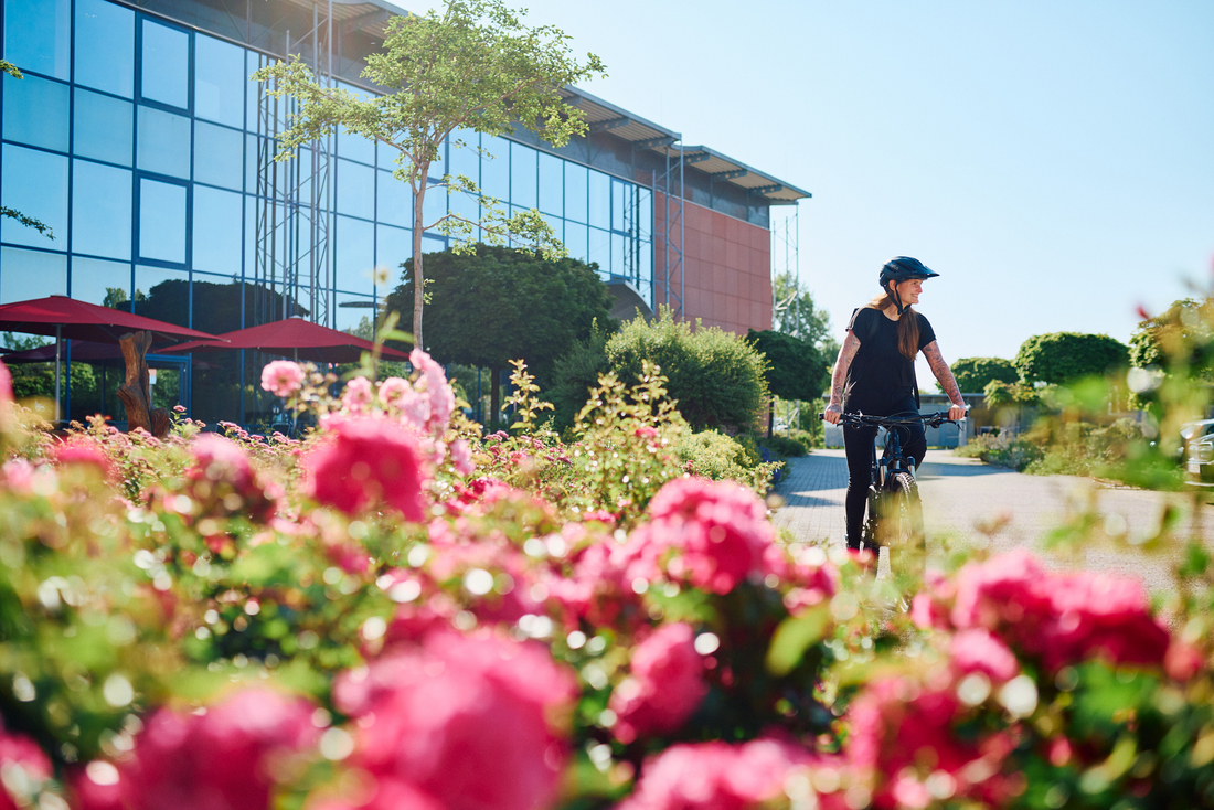 Man sieht eine Mitarbeitende auf einem Fahrrad, wie sie über den Parkplatz der IBYKUS AG in Erfurt fährt. Im Hintergrund ist das Gebäude und im Vordergrund gepflanzte Rosen.
