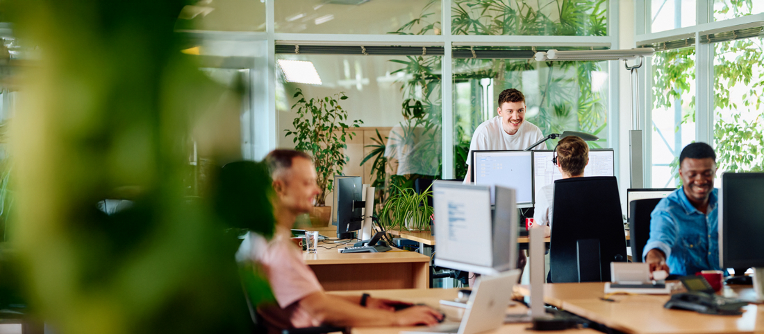 Mitarbeitende im Büro unterhalten sich über ihre Schreibtische hinweg, das Büro ist hell, freundlich und es gibt viele Pflanzen