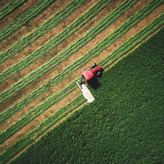 Ein roter Traktor aus der Vogelperspektive, wie er ein Feld abmäht